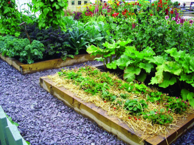 Garden Microclimates: Shrug Off Your Growing Zone Image